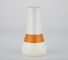 Le cosmétique en verre de l'emballage 120ml MSDS de soins de la peau met l'OEM en bouteille crème de pots